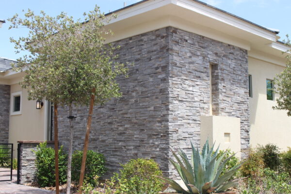 IMG_7231