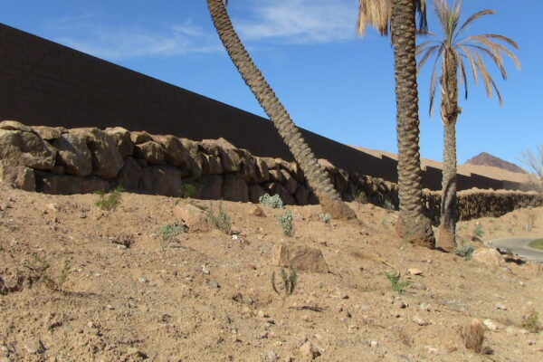 LLV-Rock-Wall-9
